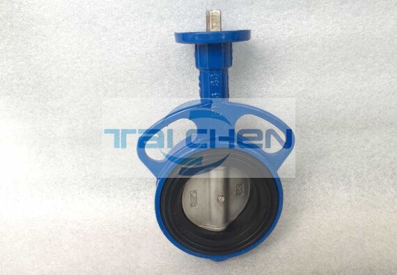 無頭對夾式軟密封蝶閥