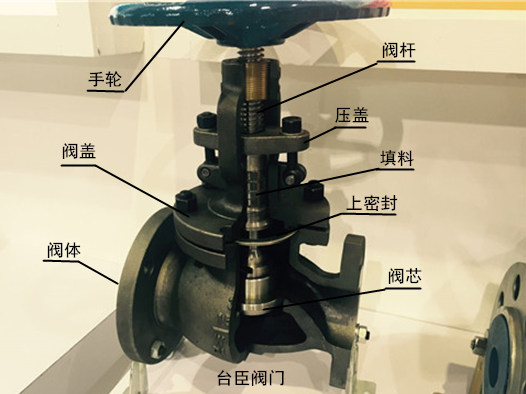 截止閥結(jié)構(gòu)示意圖、解剖圖