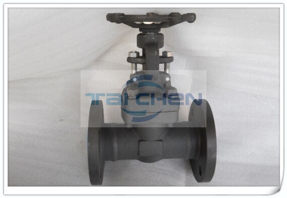 Z41H鍛鋼法蘭閘閥實物圖